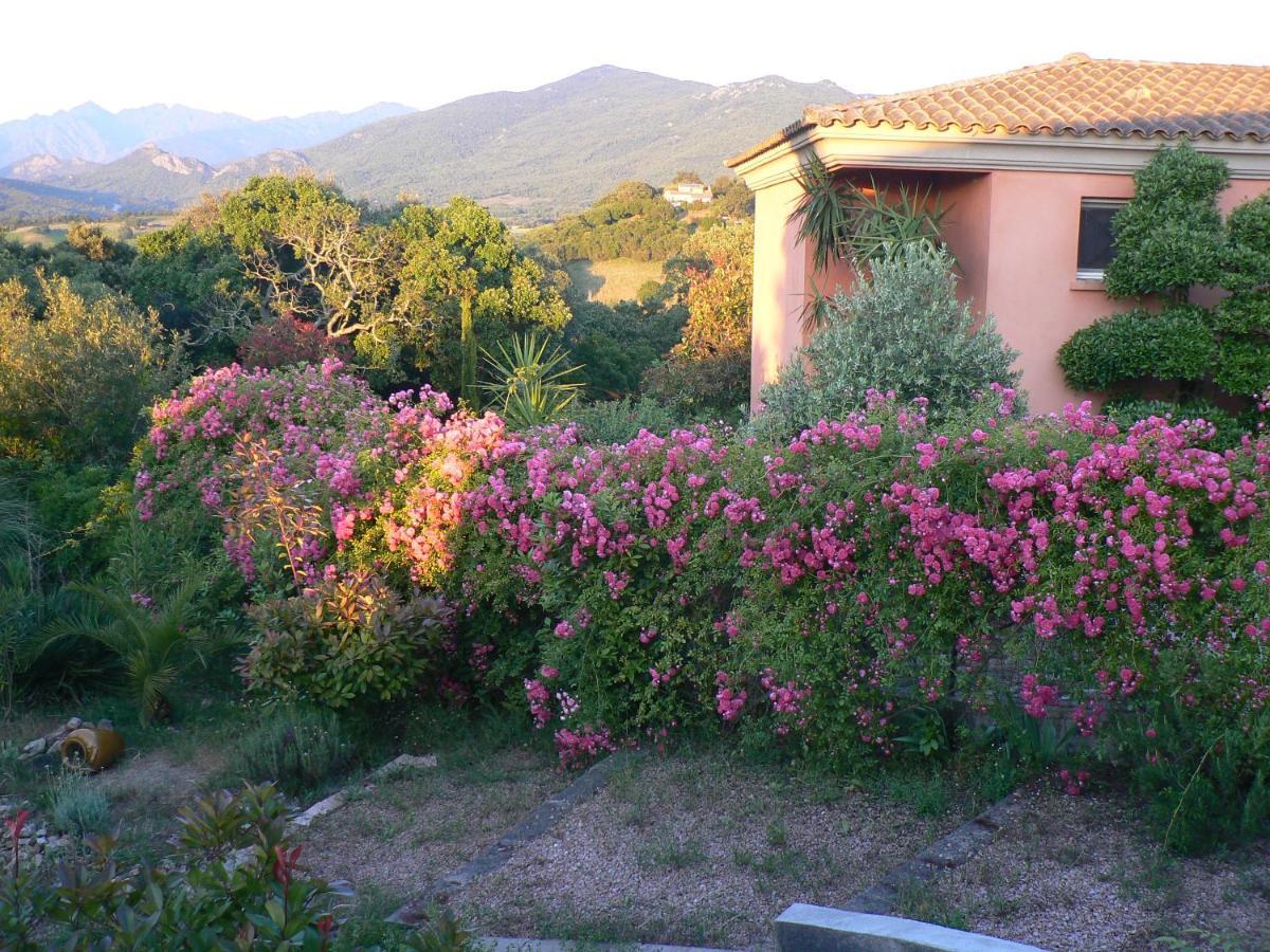 Chambre D'Hote Casa Tozza Porticcio  Exterior photo